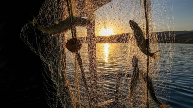 Foto - Tamı tamına 200 bin lira cezası var! Yarından sonra bunu yapanlar yandı