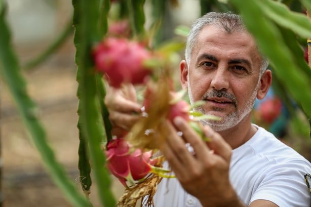 Foto - Tanesi 15 ila 30 TL! 1,5 dönümlük seradan servet kazanıyor