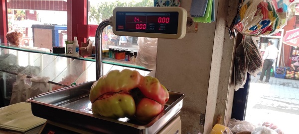 Foto - Tanesi 1,5 kilo geliyor! Pazarda 5 TL'ye satılıyor
