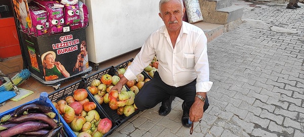 Foto - Tanesi 1,5 kilo geliyor! Pazarda 5 TL'ye satılıyor