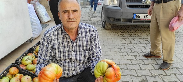 Foto - Tanesi 1,5 kilo geliyor! Pazarda 5 TL'ye satılıyor