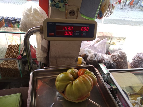 Foto - Tanesi 1,5 kilo geliyor! Pazarda 5 TL'ye satılıyor