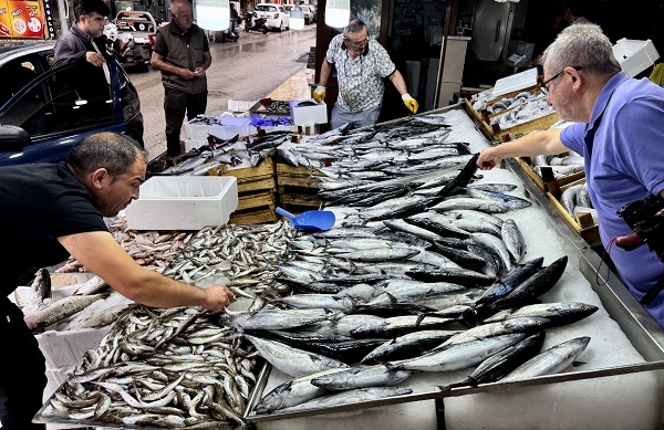 Foto - Tanesi 60 lira! Tezgahlarda balık bolluğu yaşanıyor 