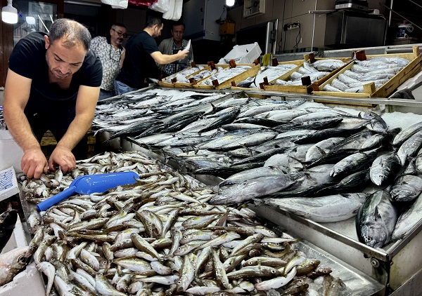 Foto - Tanesi 60 lira! Tezgahlarda balık bolluğu yaşanıyor 