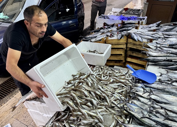 Foto - Tanesi 60 lira! Tezgahlarda balık bolluğu yaşanıyor 