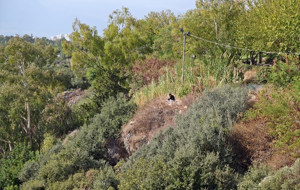 Foto - Tansiyonu düştü, falezlerde düştü