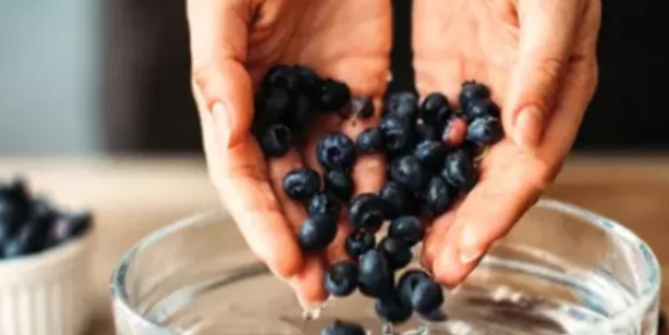 Foto - Tansiyonu düşüren süper yiyecek! Cilde iyi gelen yaban mersini kanseri önlüyor, kan şekerini dengeliyor