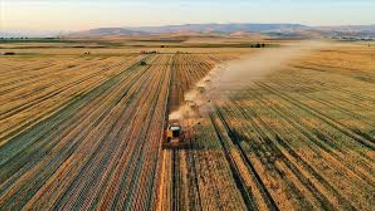 Foto - Tapu sahipleri tüm hakkınızı kaybedebilirsiniz: Ahlar vahlar etmemek için o tarihe dikkat