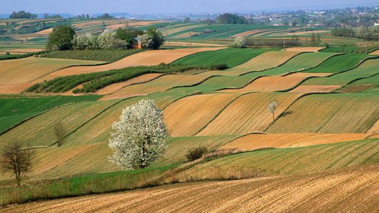 Foto - Tapu sahipleri tüm hakkınızı kaybedebilirsiniz: Ahlar vahlar etmemek için o tarihe dikkat