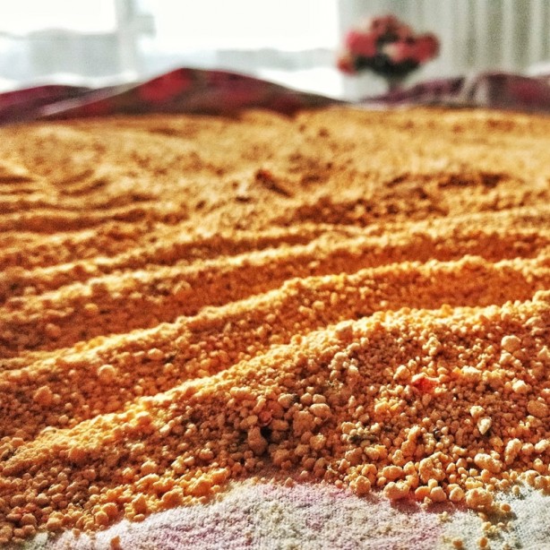 Foto - Tarhana çorbasını içmeden bir daha düşünün! İşte bilinmeyen zararları