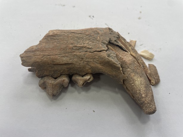 Foto - Tarih fışkıran bölge için Antik Kentten flaş talep! Acil olarak bu istendi