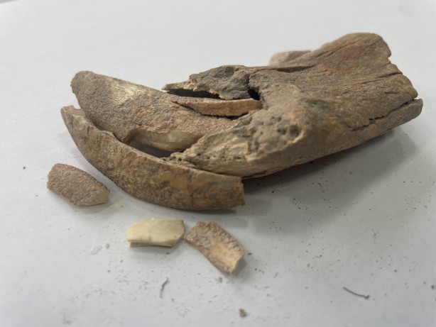 Foto - Tarih fışkıran bölge için Antik Kentten flaş talep! Acil olarak bu istendi