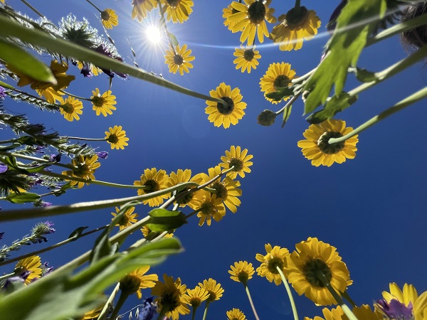 Foto - Tarih ve doğanın buluştuğu nokta: Likya Yolu 