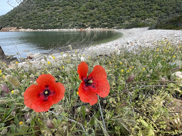 Foto - Tarih ve doğanın buluştuğu nokta: Likya Yolu 