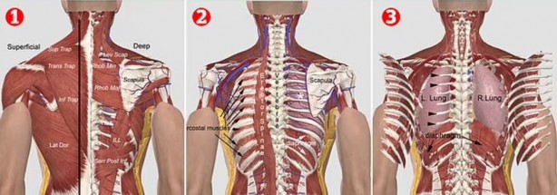 Foto - Tarihe damga vuran ‘Kan Kartalı’ işkencesi… Uzmanlar dünyaya açıkladı