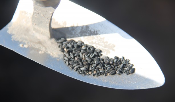 Tarihe ışık tutacak! Kazdıkları 4 bin 200 yıllık çukurdan bakın ne çıktı