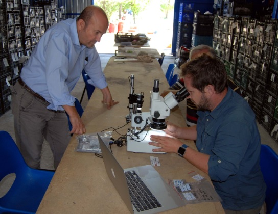 Foto - Tarihi 6 bin yıl önceye dayanıyor! Çalışmalarda keşfedildi incelemeler heyecanlandırdı