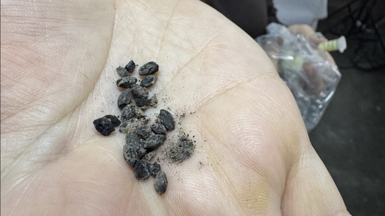 Foto - Tarihi antik kentte kazı çalışması başladı! Fırında 2 bin 600 yıllık karbonlaşmış tohumlar bulundu