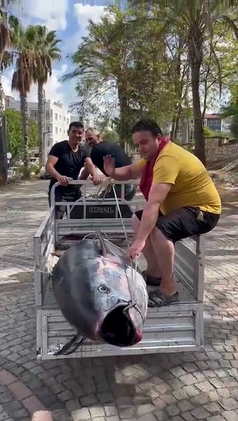 Foto - Tarihi av! Tam 207 kilo ağırlığında