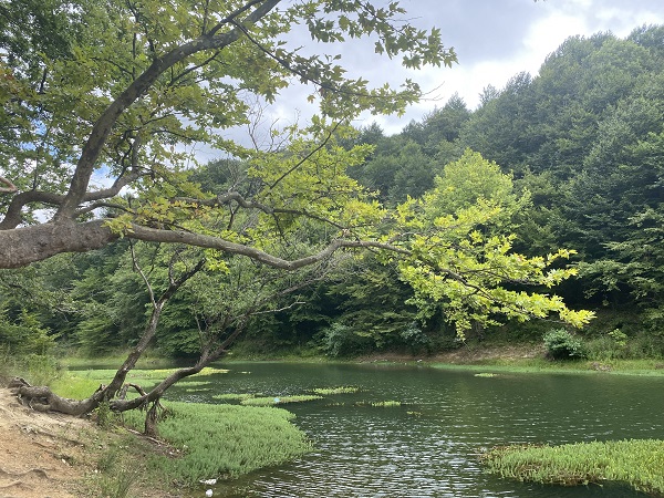 Foto - Tarihi bentlerinin restorasyonu yapılmadı! İSKİ kuraklığa neden oluyor