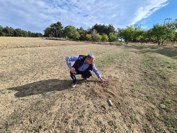 Foto - Tarihi Bizans dönemine kadar dayanıyor! Dünyanın en pahalısından kötü haber