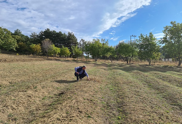 Tarihi Bizans dönemine kadar dayanıyor! Dünyanın en pahalısından kötü haber