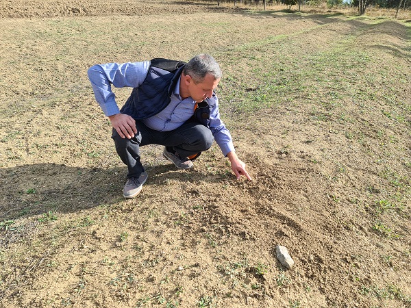 Foto - Tarihi Bizans dönemine kadar dayanıyor! Dünyanın en pahalısından kötü haber