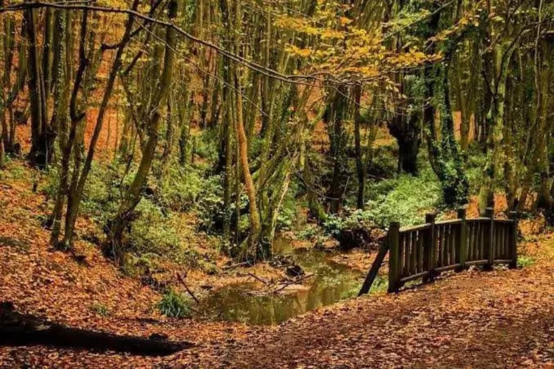 Foto - Tarihi geçmişleri şaşırtıyor: İstanbul'da sonu 'köy' ile biten kaç semt var?