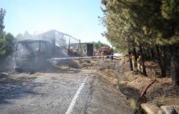 Tarihi Gelibolu Yarımadası'nda çıkan orman yangını kontrol altına alındı