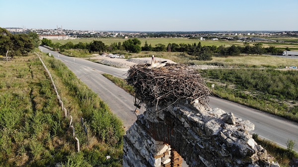 Foto - Tarihi hastane leyleklere yuva oldu