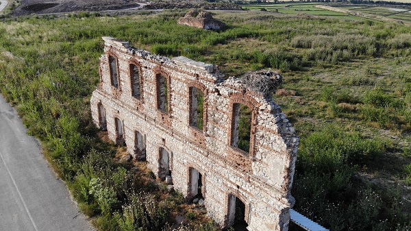 Foto - Tarihi hastane leyleklere yuva oldu