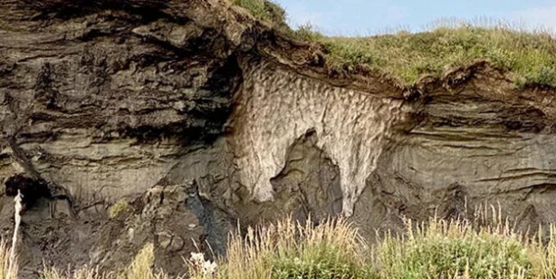Foto - Tarihi keşif: 48 bin 500 yıllık 'zombi virüs' canlandı! Flaş iddia: enfeksiyona neden oldu! İşte o şok sözler