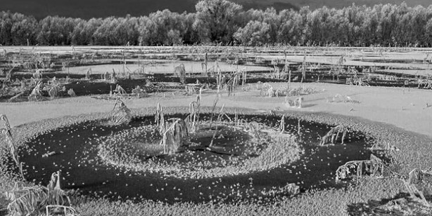 Foto - Tarihi keşif: 48 bin 500 yıllık 'zombi virüs' canlandı! Flaş iddia: enfeksiyona neden oldu! İşte o şok sözler