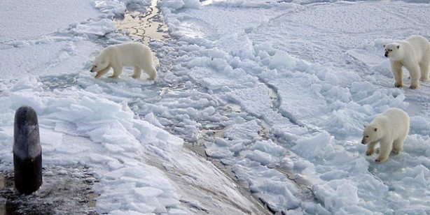 Foto - Tarihi keşif: 48 bin 500 yıllık 'zombi virüs' canlandı! Flaş iddia: enfeksiyona neden oldu! İşte o şok sözler