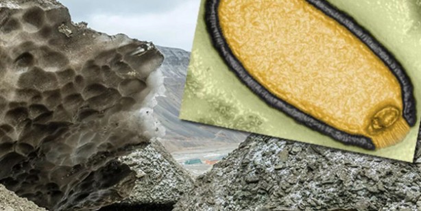 Foto - Tarihi keşif: 48 bin 500 yıllık 'zombi virüs' canlandı! Flaş iddia: enfeksiyona neden oldu! İşte o şok sözler