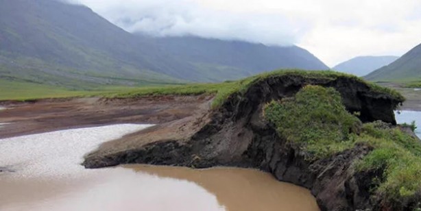 Foto - Tarihi keşif: 48 bin 500 yıllık 'zombi virüs' canlandı! Flaş iddia: enfeksiyona neden oldu! İşte o şok sözler