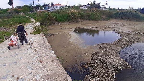 Foto - Tarihi köprü kaderine terk edildi