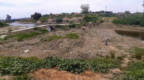 Foto - Tarihi köprü kaderine terk edildi