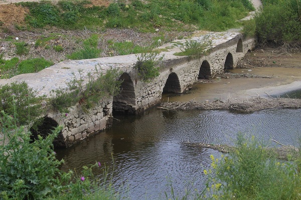 Foto - Tarihi köprü kaderine terk edildi