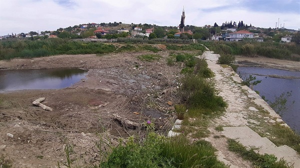 Foto - Tarihi köprü kaderine terk edildi