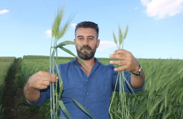 Foto - Tarihi küpte bulunan 7 bin yıllık tohumdan müjdeli haber!