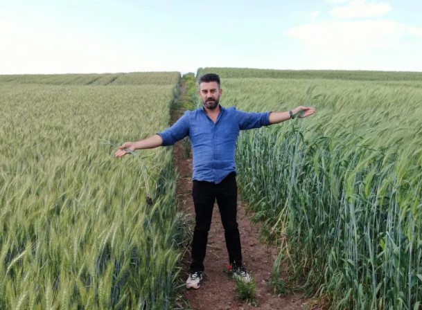 Tarihi küpte bulunan 7 bin yıllık tohumdan müjdeli haber!