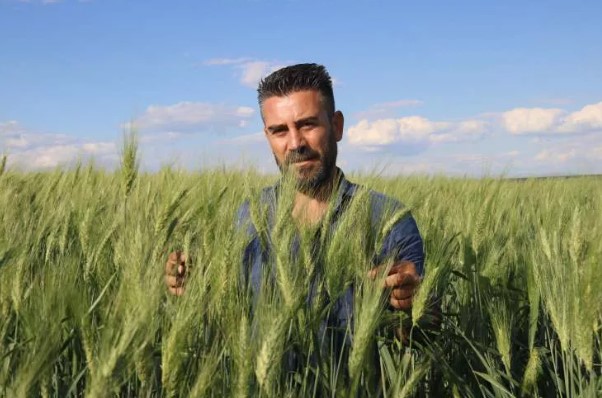 Foto - Tarihi küpte bulunan 7 bin yıllık tohumdan müjdeli haber!
