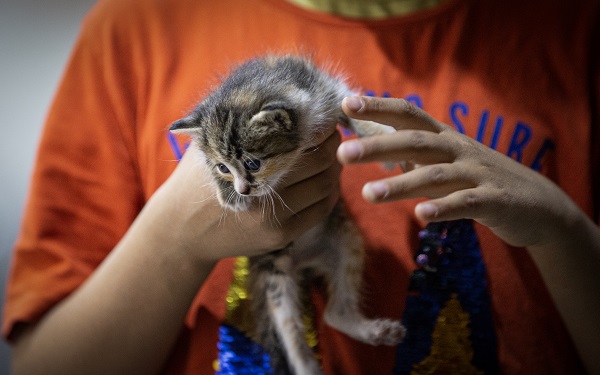 Foto - Tarihi Maraş Çarşısı eski günlerine dönüyor