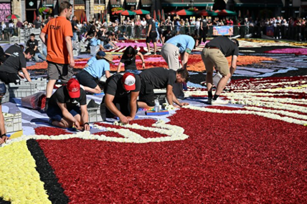 Foto - Tarihi meydan rengarenk! Bin 680 metrekarelik çiçekten halı