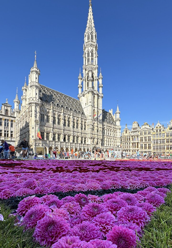 Foto - Tarihi meydan rengarenk! Bin 680 metrekarelik çiçekten halı