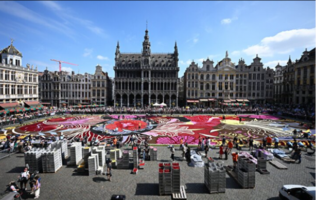 Foto - Tarihi meydan rengarenk! Bin 680 metrekarelik çiçekten halı