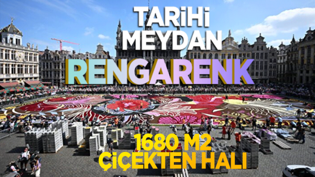 Tarihi meydan rengarenk! Bin 680 metrekarelik çiçekten halı