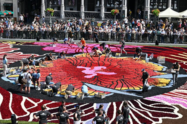 Foto - Tarihi meydan rengarenk! Bin 680 metrekarelik çiçekten halı