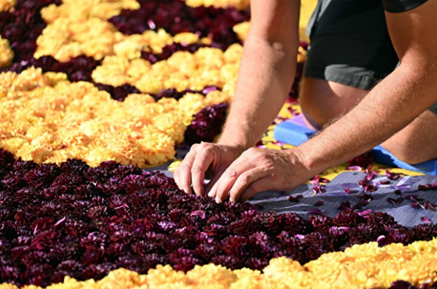 Foto - Tarihi meydan rengarenk! Bin 680 metrekarelik çiçekten halı